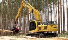 «Скандинавские Технологии» - в леса России
